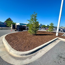 Professional-Mulch-Installation-Fast-Clean-Affordable 1